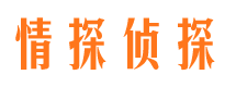 旌德市侦探公司